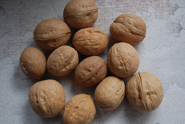 Walnuts tree seeds for planting| 1 pound | Non-GMO | image 1