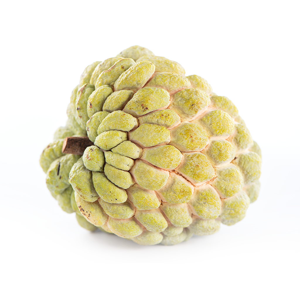 *IN SEASON* Organic Sugar-apples (Sweet-sop)| 1 pound | Thermal package protected