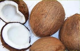 Fresh Organic Coconuts (Set Of 3)