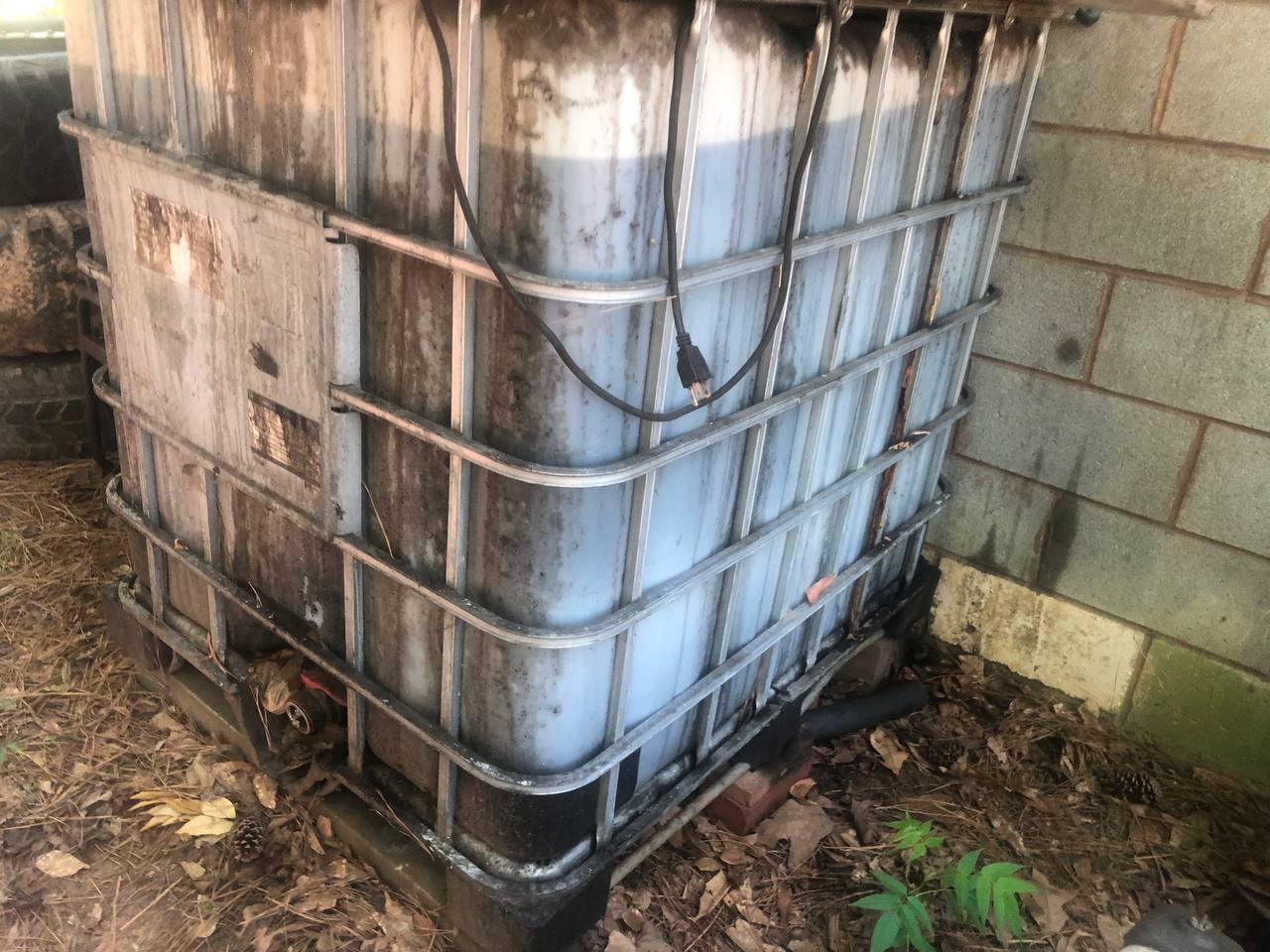 Bio Diesel for sale (B100) | Fuel additive | 2.90$ per gallon