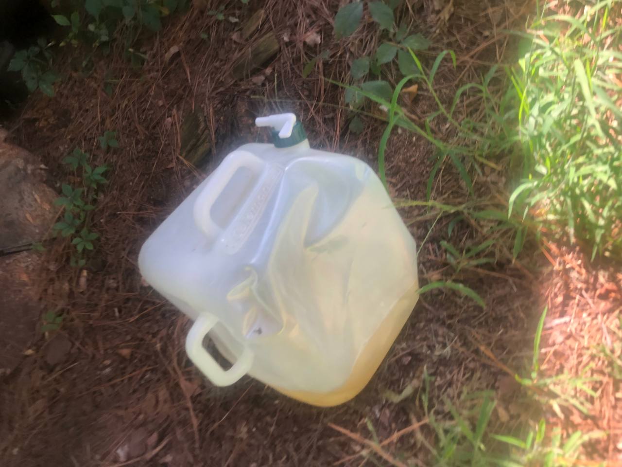 Bio Diesel for sale (B100) | Fuel additive | 2.90$ per gallon
