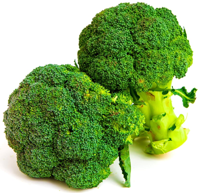 *IN SEASON* Broccoli seeds | Organic & Non-GMO seeds | (1 pack) 365 seeds per pack