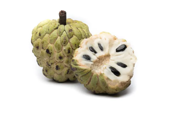 *IN SEASON* Organic Sugar-apples (Sweet-sop)| 1 pound | Thermal package protected