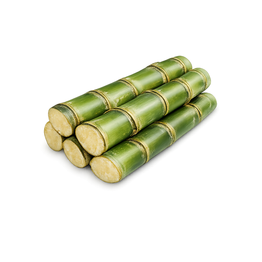 SUGAR CANE IS HERE! FROM FL, USA 🌴