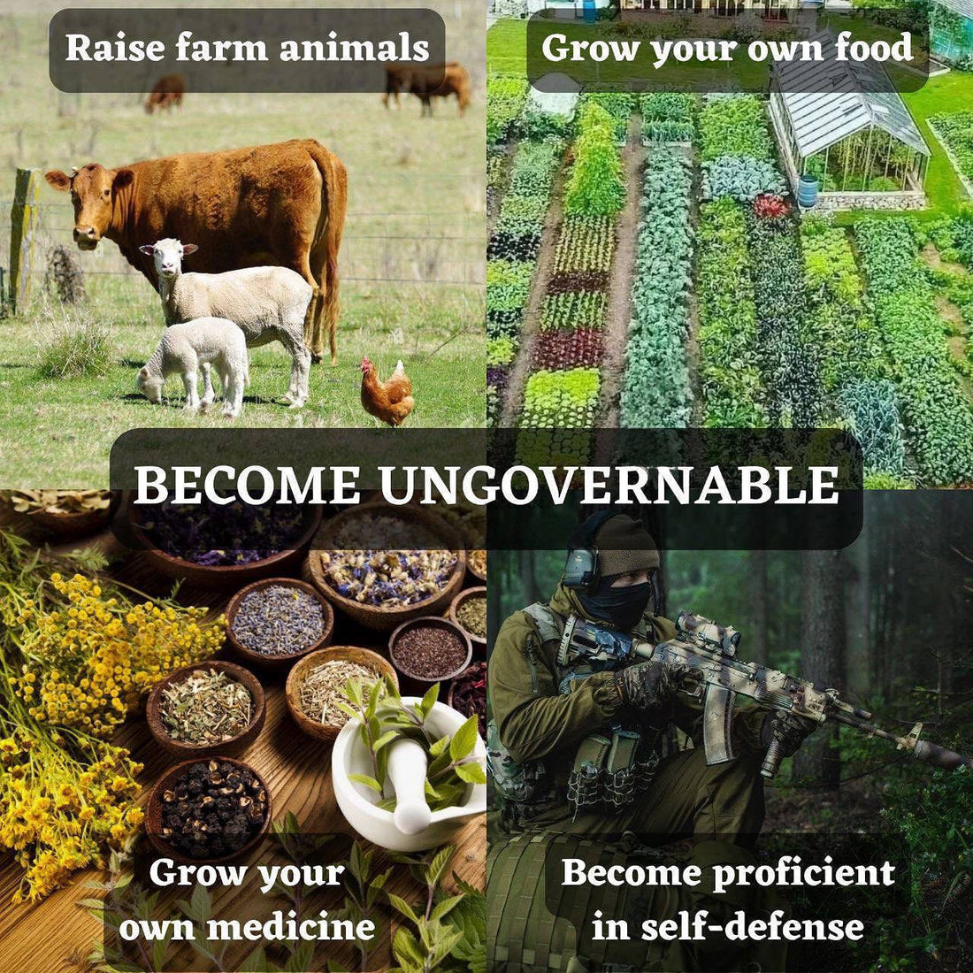 Raise farm animals, Grow your own food and medicine, Become proficient in self defense