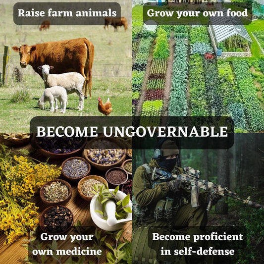 Raise farm animals, Grow your own food and medicine, Become proficient in self defense