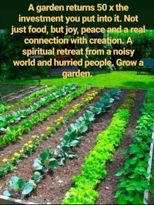 A Garden Returns 50× the Investment — And It Has Nothing to Do With Money