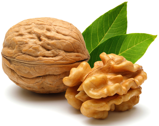 Walnuts tree seeds for planting| 1 pound  |  Non-GMO | image 0
