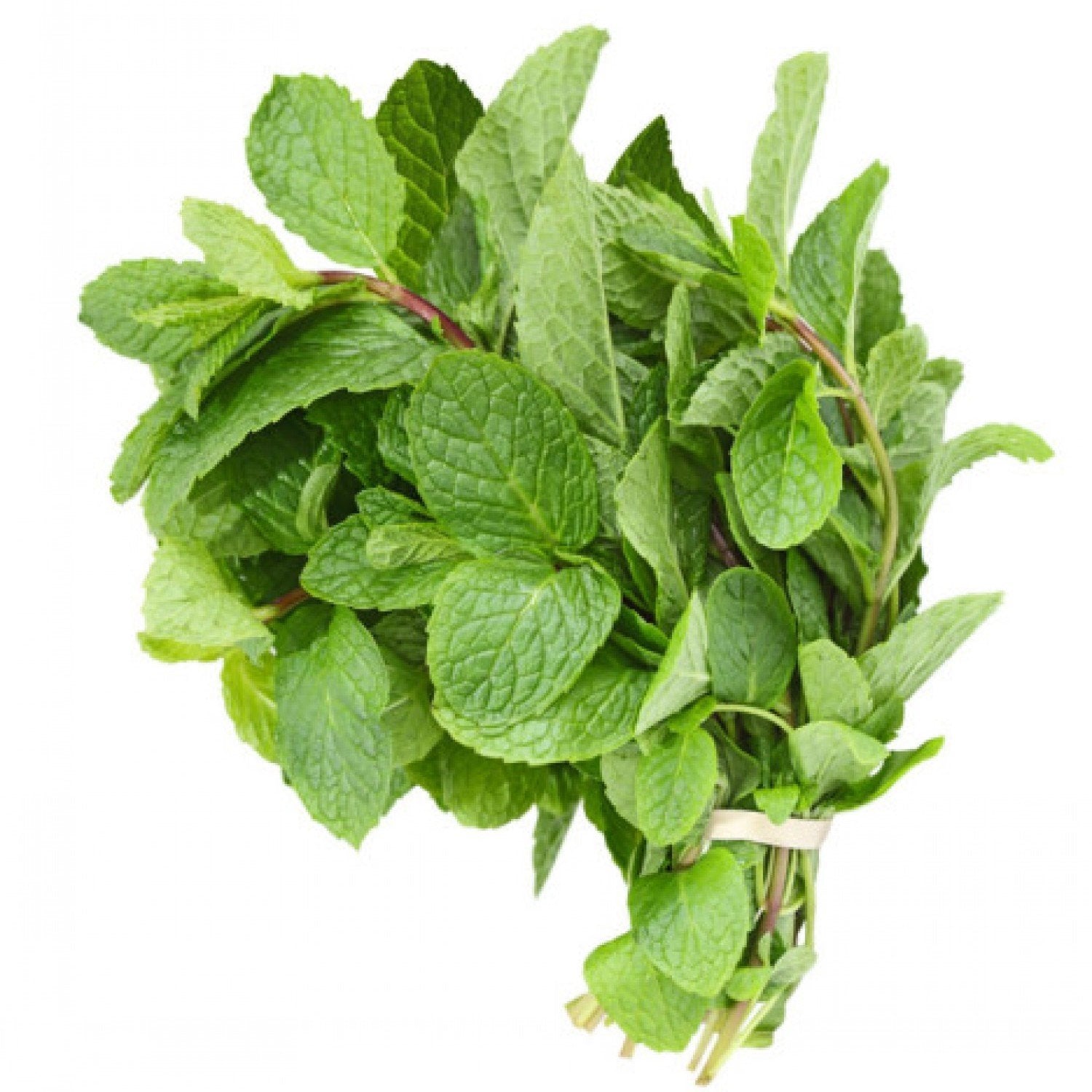 Organic mint leaves 0.5 oz image 0