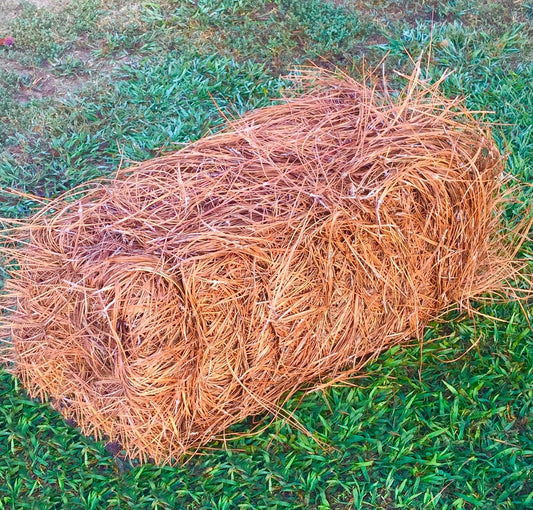 Pine Straw Premium  - Pine Needle Mulch - Covers 3.5’ x 40’ (140sf)  Sqft 52 lbs