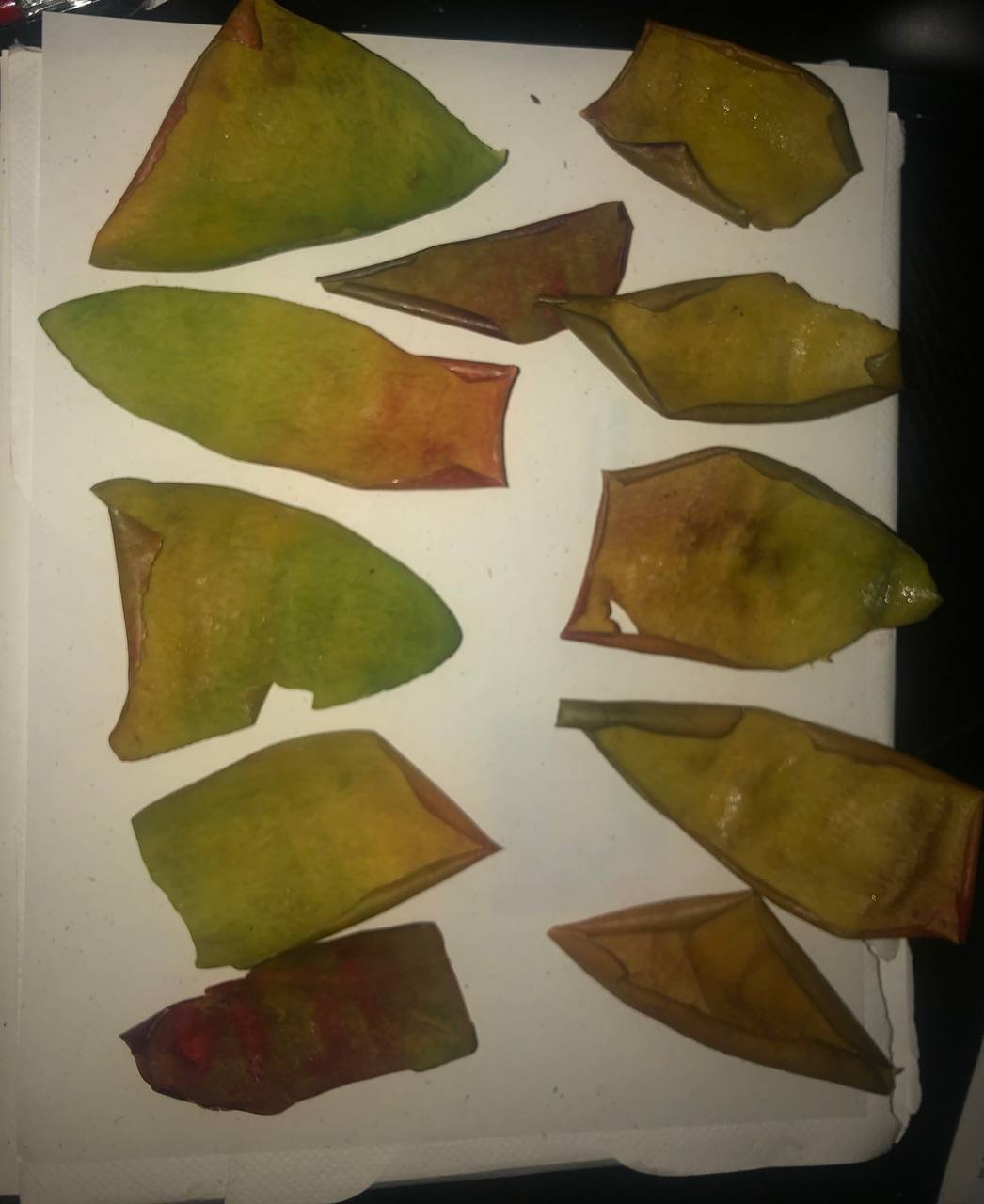 Organic Mango Wraps (2ct) | Real Mango wraps